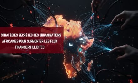Cinq stratégies des organisations africaines face aux flux financiers illicites